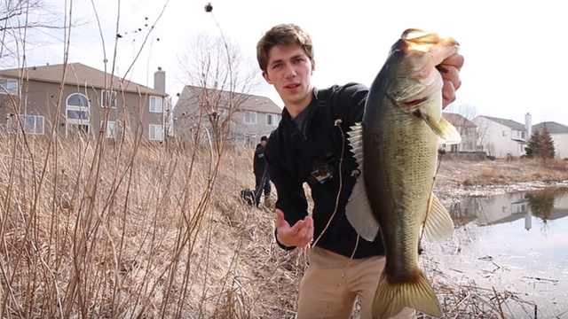 How To Pull Bass From The Weeds