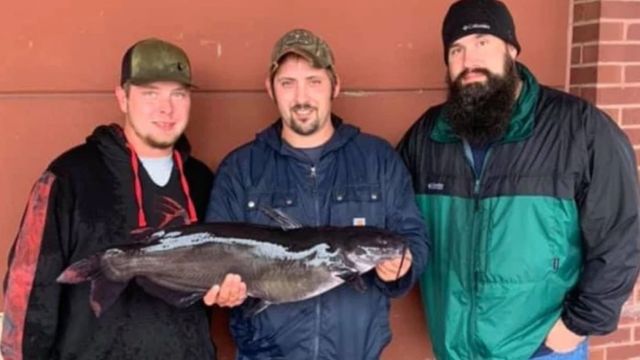 Local Angler Shatters The New Hampshire Channel Catfish State Record