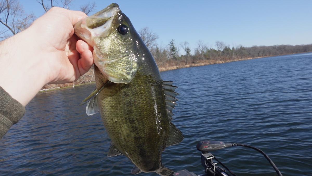 Fall Fish Movements: Where They Go & How To Catch Them