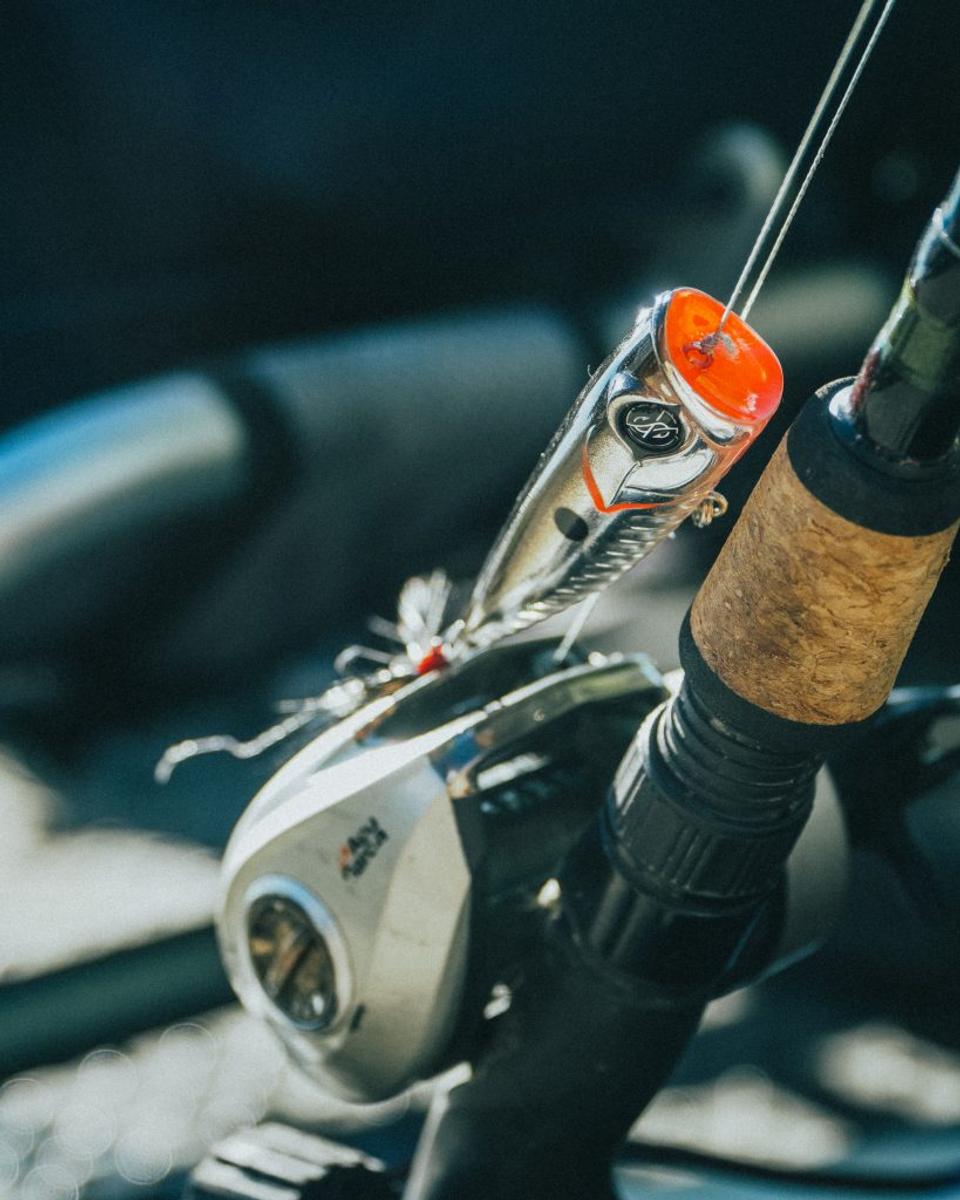 3 Reasons You Should Be Throwing Topwater Poppers Right Now
