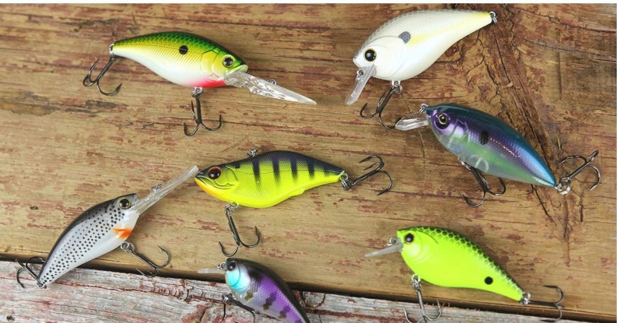 Bass Fishing Best Thing To Fish With Box Reviews Catch Co PRO Bass