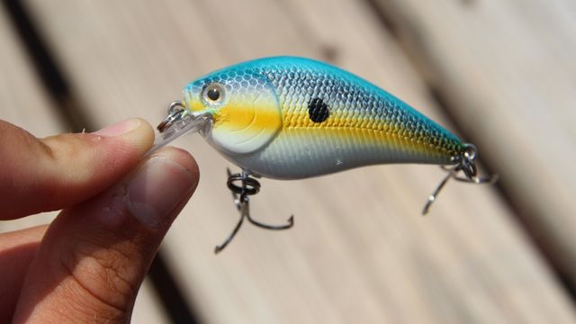 Squarebill Fishing: When To Throw A Square Billed Lure