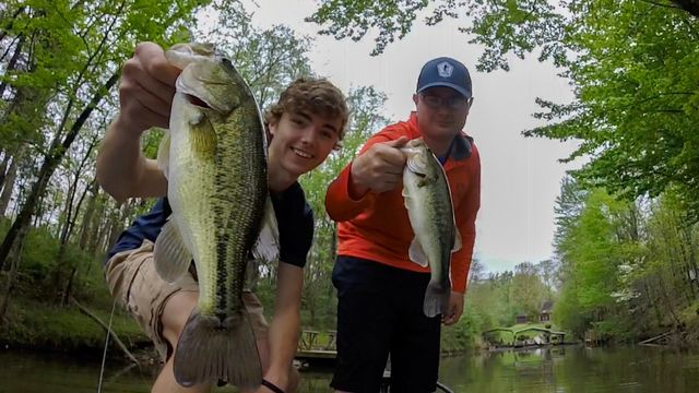 River Bass Fishing: How To Catch Giant Bass In Your Local River
