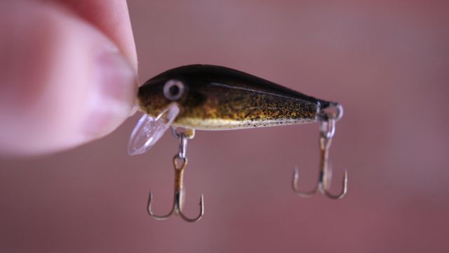 Crankbaits For Panfish: How To Power Fish The Little Guys