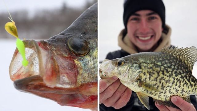 Ice Fishing Hacks: Why You Need To Go DEEP For Big Basin Crappie!