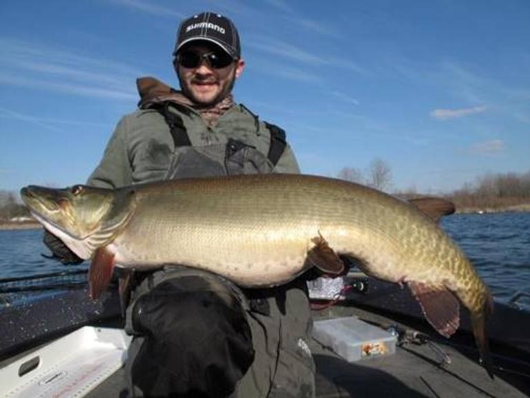 Musky Fishing 101: All You Need To Know About The Fish Of 10,000 Casts