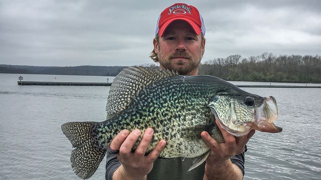 4 Lb 8.8 Oz Illinois Record Crappie Caught On Lake Kinkaid