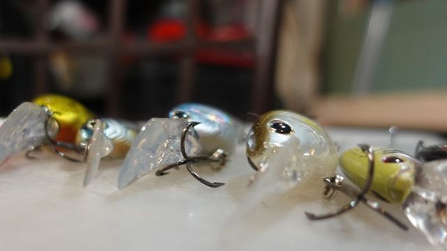 Cold Water Killers: How To Fish Flat Sided Crankbaits