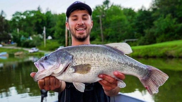 Everything You Ever Wanted To Know About Bass Fishing But Were Too Afraid To Ask