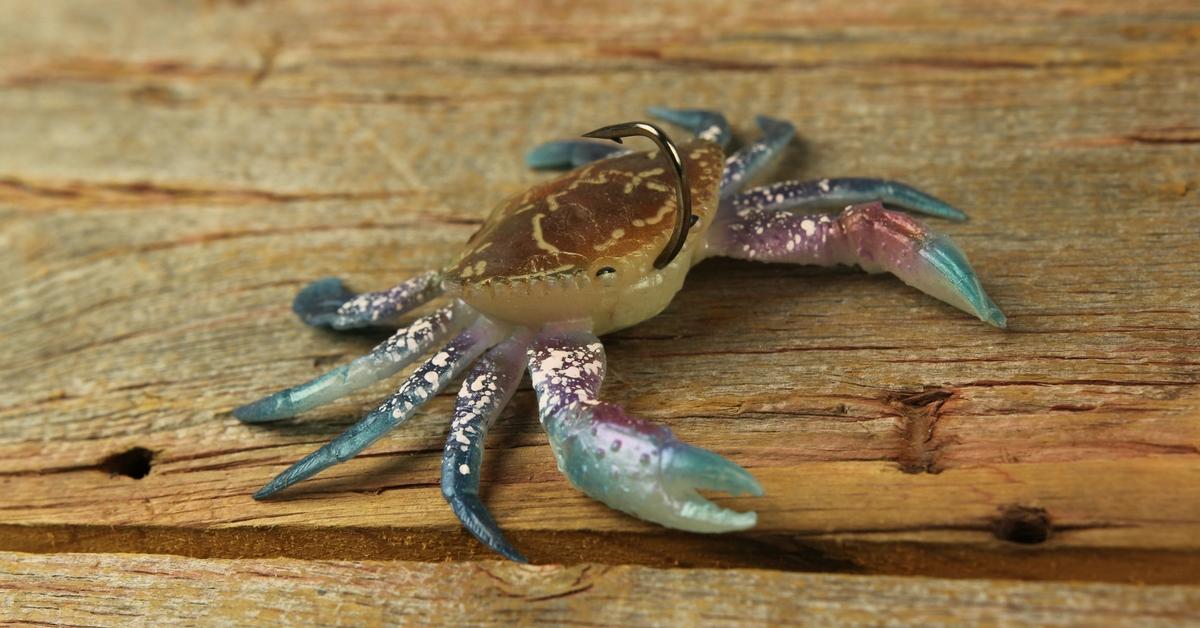 How To Fish Soft Bodied Crabs For Inshore Bites
