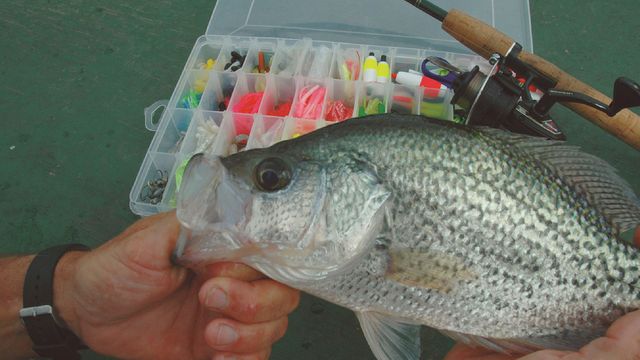 Panfish Tackle: How To Stock Your Tackle Box Like A Crappie Pro