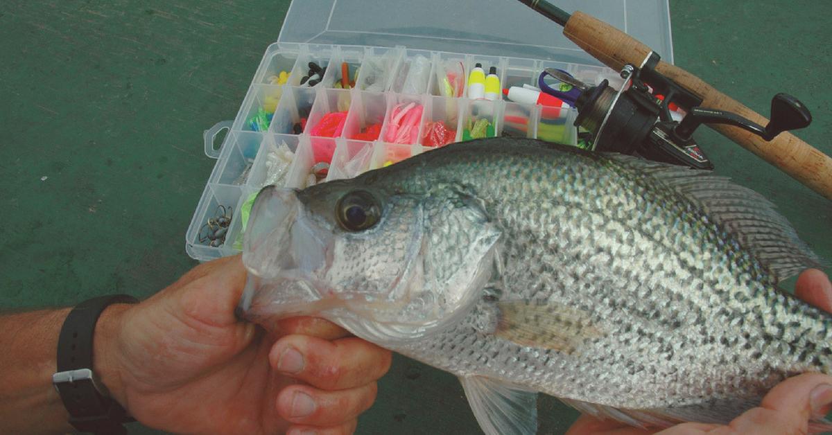 Panfish Tackle: How To Stock Your Tackle Box Like A Crappie Pro