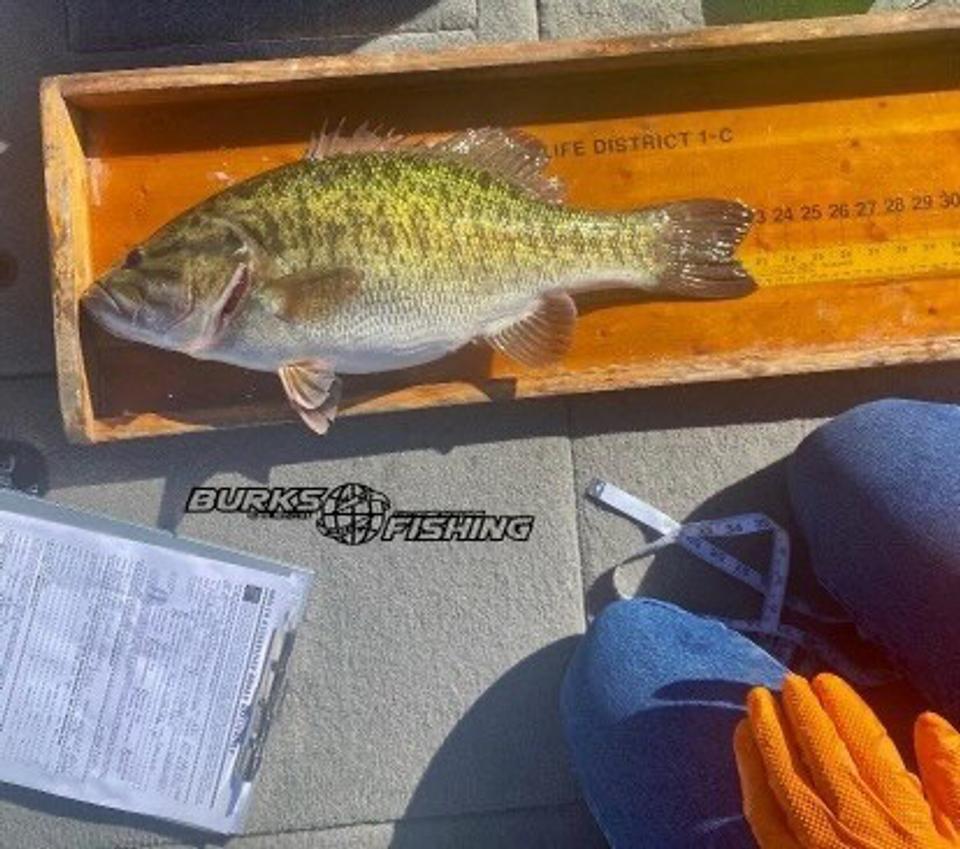 State Record Meanmouth Bass Caught In Texas Big Bass Factory (Again)