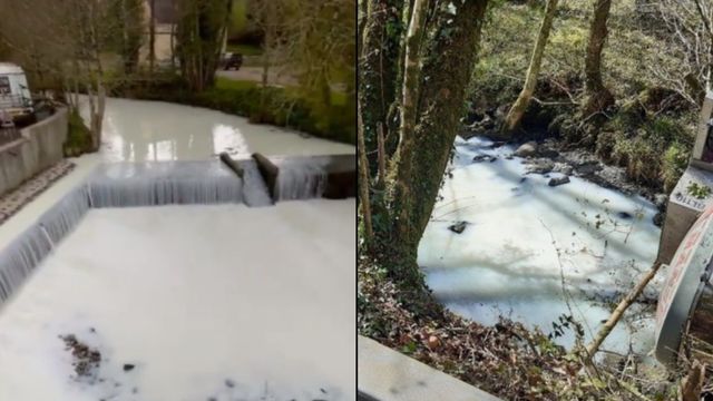 Got Milk? Over 7 Thousand Gallons Of Milk Spill Into A Welsh River