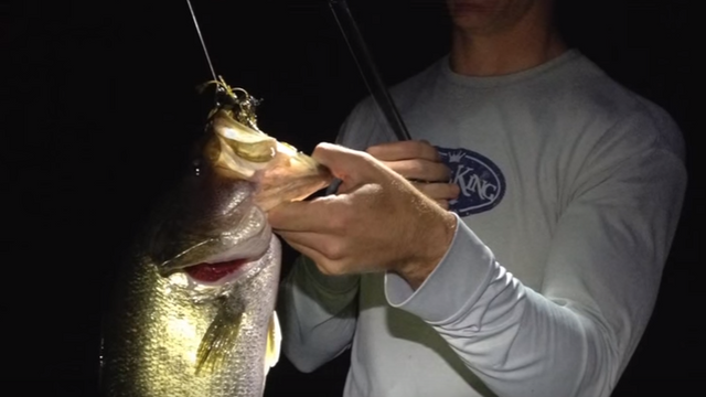The 3 Best Presentations For Night Fishing