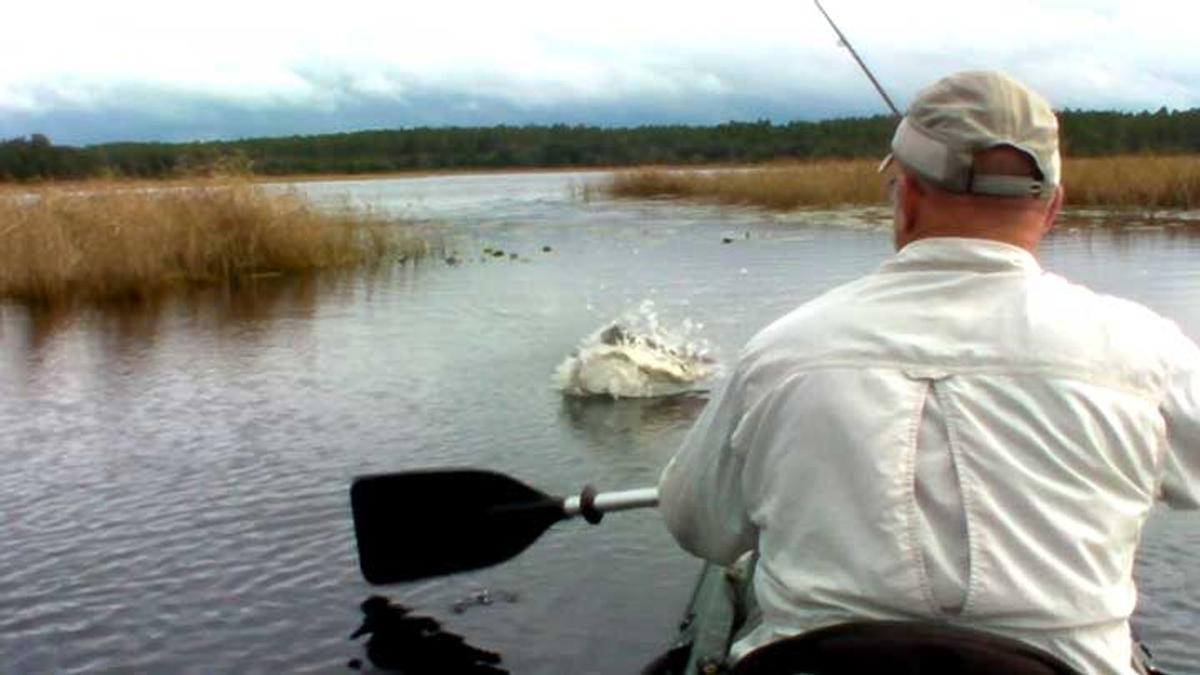 7 Frog Fishing Blowups That Will Blow (Up) Your Mind