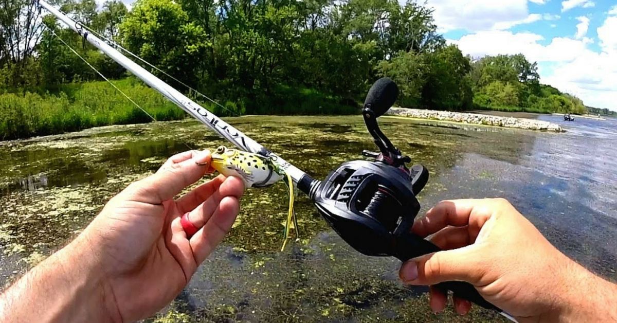 All There Is To Know About Frog Fishing For Bass