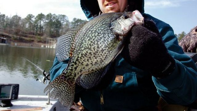 5 Spots You Need To Look For Winter Crappie