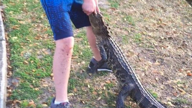 13 Year Old Wrestles Favorite Lure From Thief Alligator