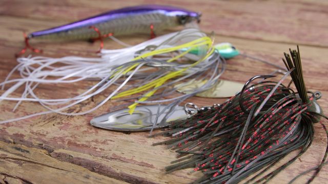 Point Fishing 101: The Best Baits To Fish A Point