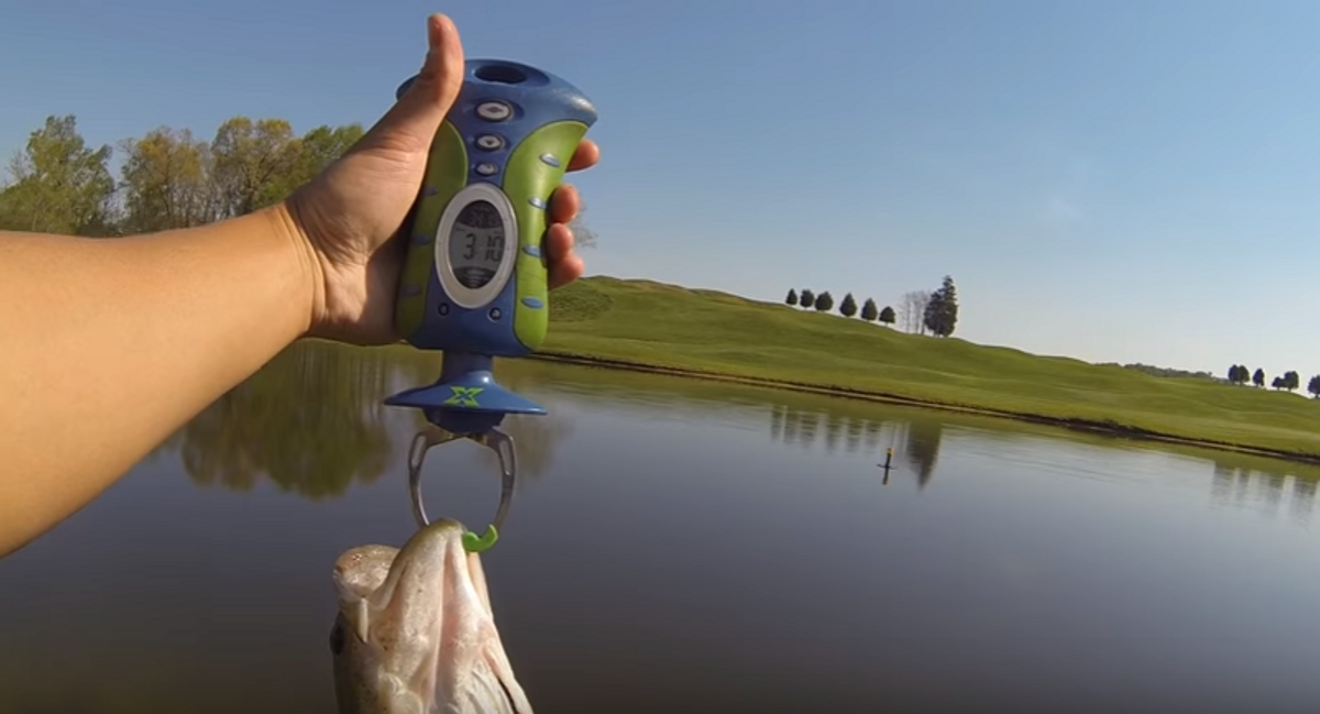 Which Lures To Use When Fishing A Golf Course Pond