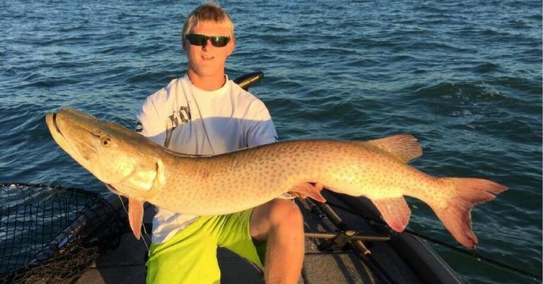 Musky Fishing 101: All You Need To Know About The Fish Of 10,000 Casts