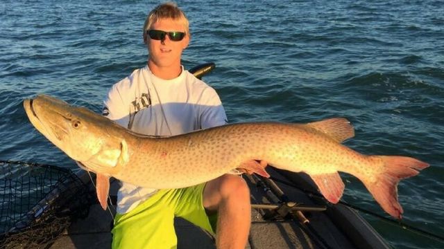 Musky Fishing 101: All You Need To Know About The Fish Of 10,000 Casts