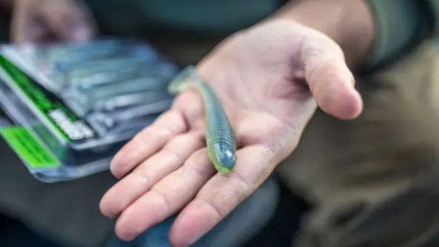 Paddle Tail Swimbaits: When, Where, And How To Rig Them