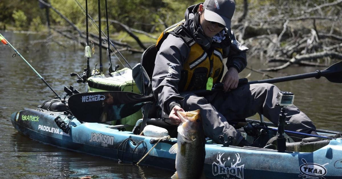 Fishing Laydowns, Logjams, And Timber For Bass In Rivers