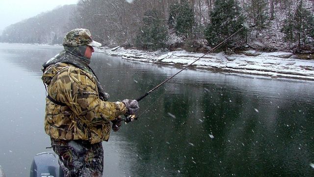 Best Winter Bass Lures: 4 Finesse Lures That You Should Be Fishing