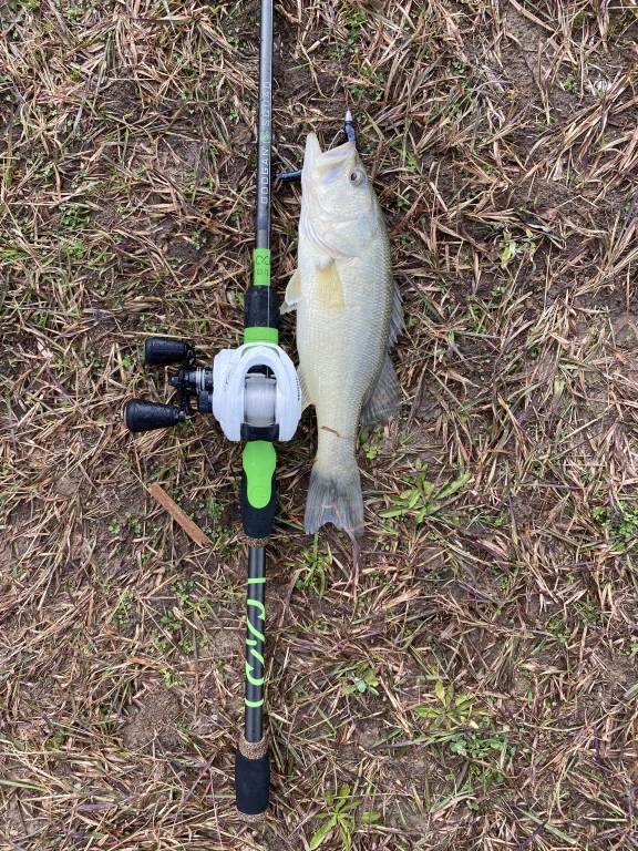 best 100 dollar casting rod
