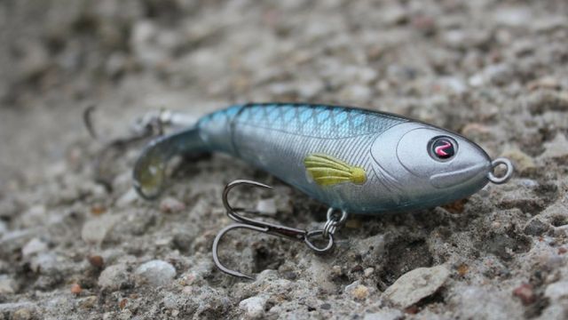 Whopper Plopper 101: All There Is To Know About The Whopper Plopper