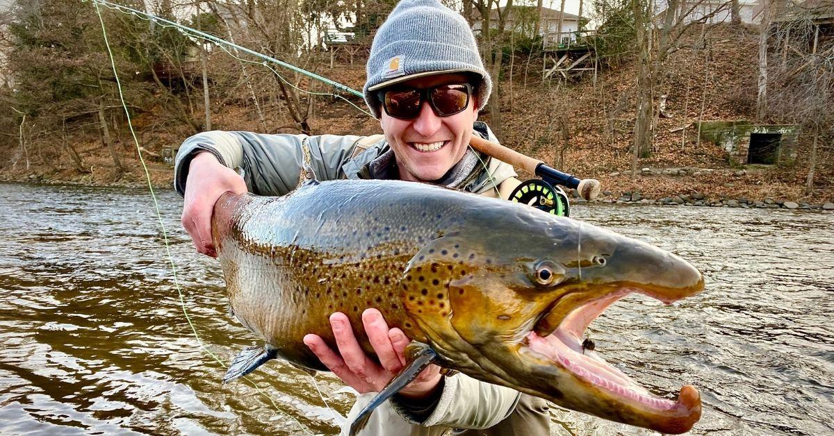 What Do Trout Actually Eat? An Inside Look At The Diet Of A Trout