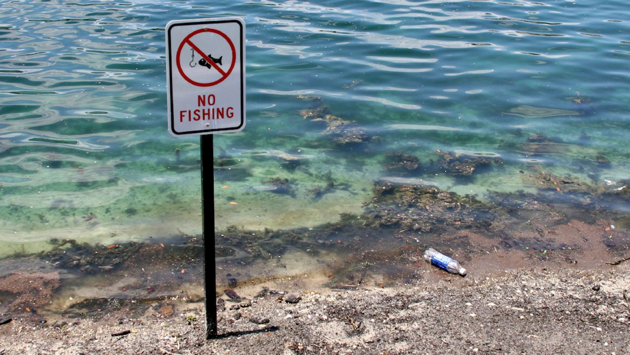 16 Ridiculous Fishing Laws That Will Make Your Jaw Drop
