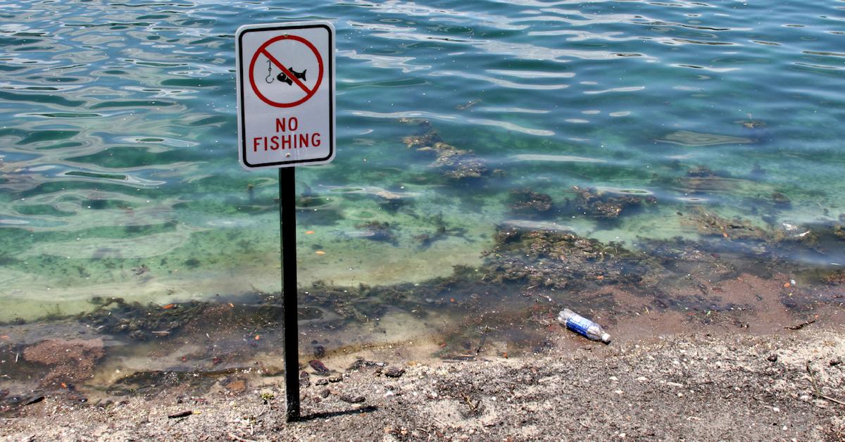 16 Ridiculous Fishing Laws That Will Make Your Jaw Drop