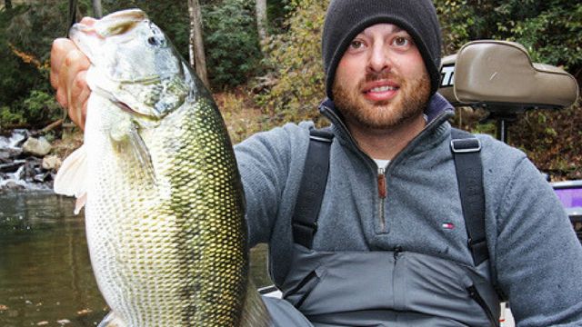 Spotted Bass Tips: How To Catch Your New PB