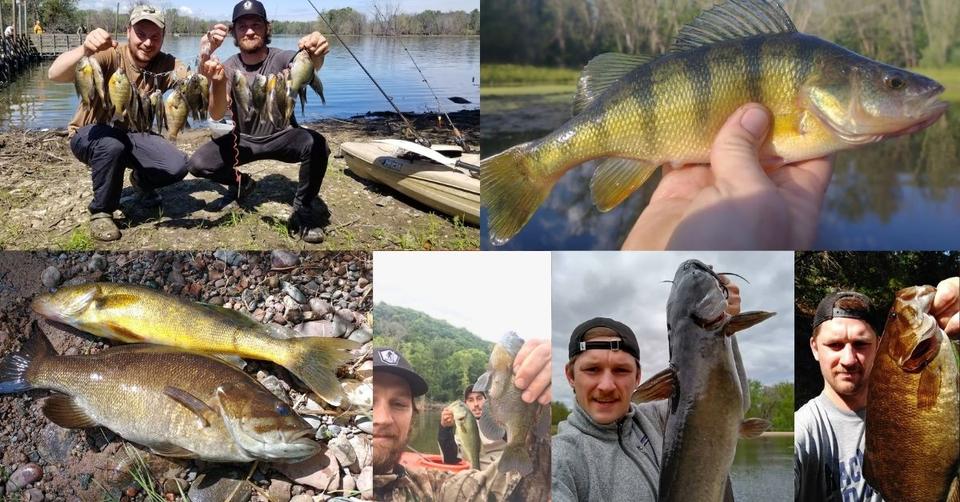 when-do-fish-spawn-in-the-spring-9-species-covered