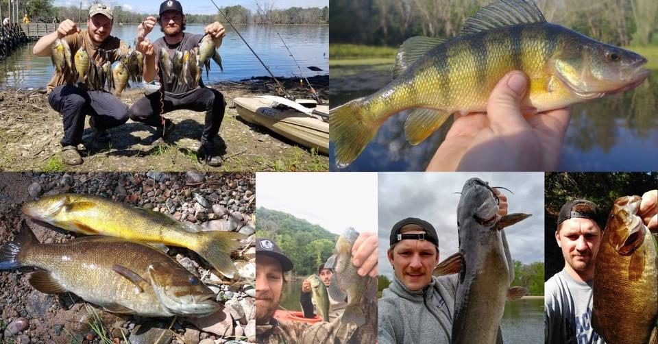 When Do Fish Spawn In The Spring 9 Species Covered when-do-fish-spawn-in-the-spring-9-species-covered
