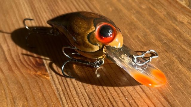 Crankbaits That Hunt: What You Need To Know