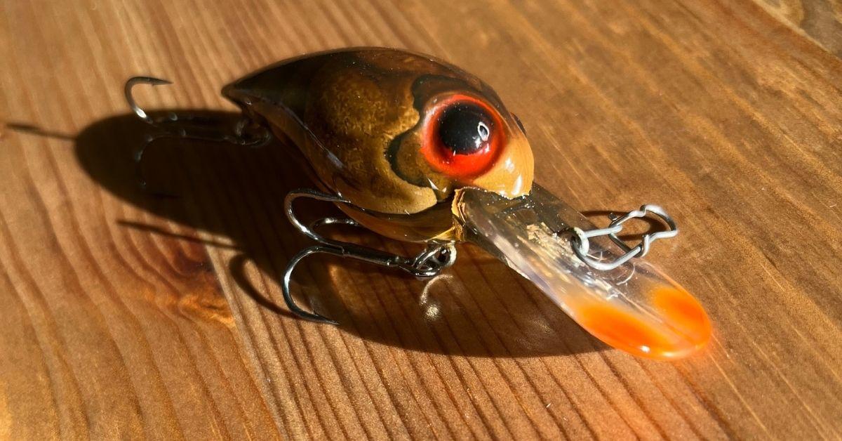 Crankbaits That Hunt: What You Need To Know