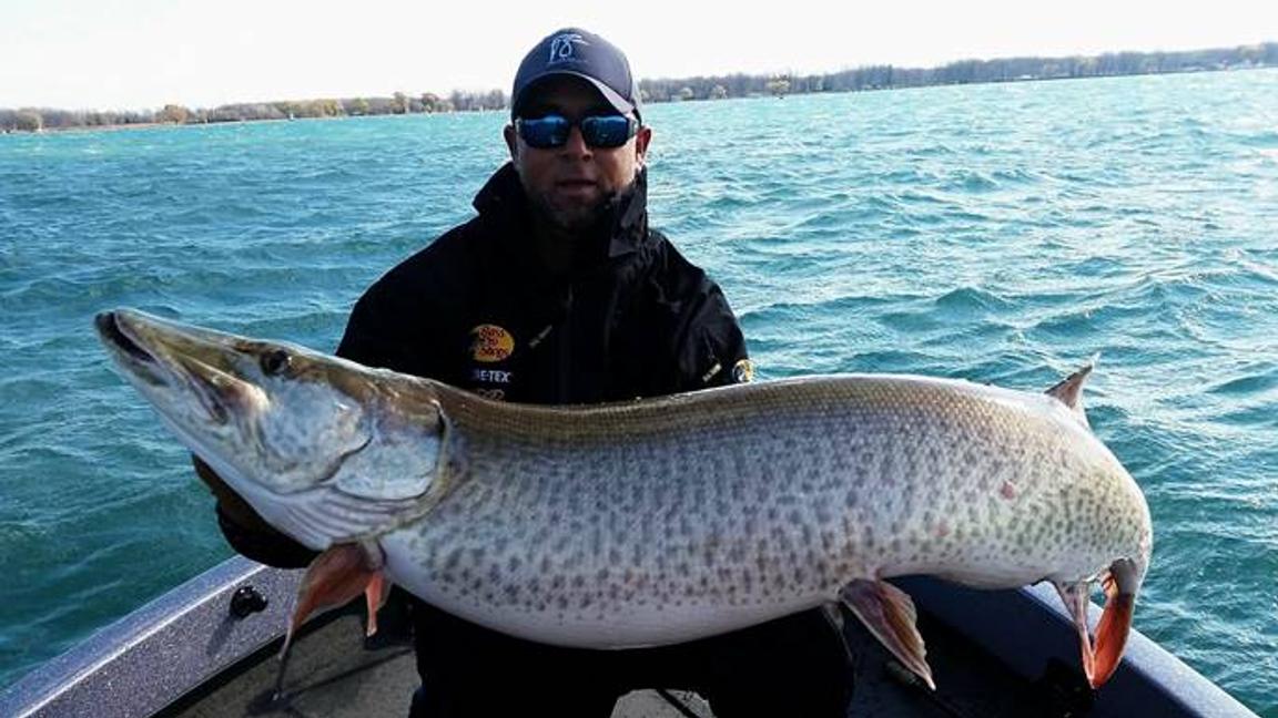 Musky Fishing 101: All You Need To Know About The Fish Of 10,000 Casts