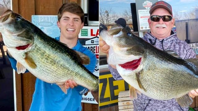 Two More 14lb+ Largemouth Caught From Texas Big Bass Factory