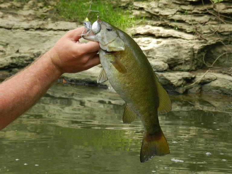 What Are "Feeder Creeks" And Why Should We Fish There?