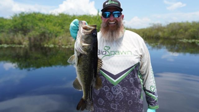 Bass Fishing In The Grass: 3 Baits That Will Crush All Summer Long