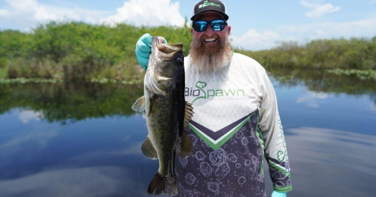 Bass Fishing In The Grass: 3 Baits That Will Crush All Summer Long
