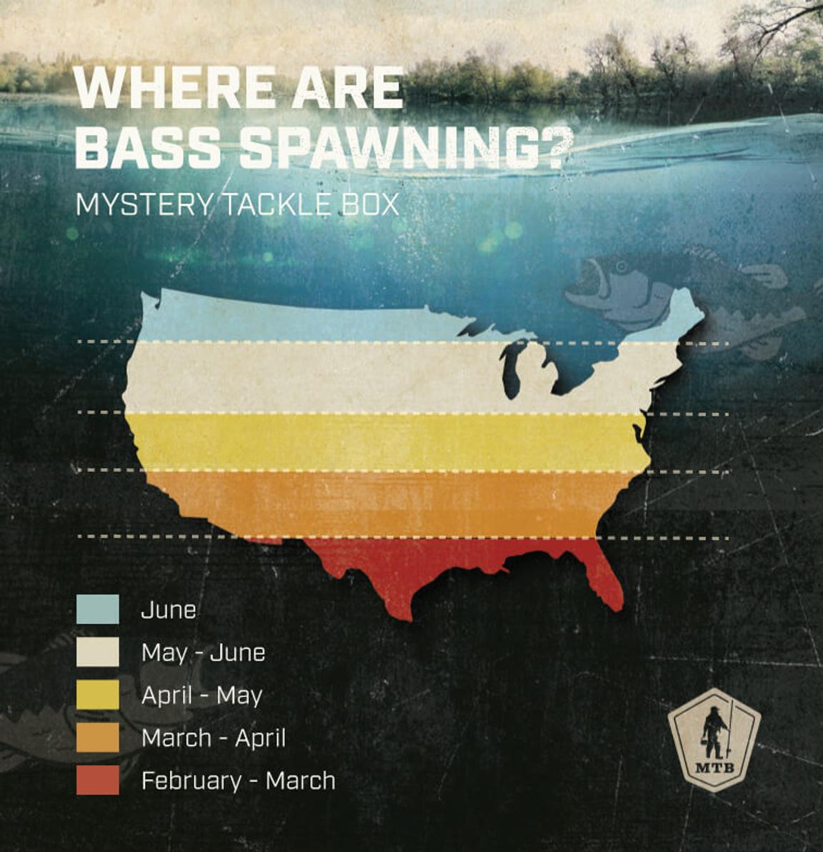 When Do Bass Spawn? See The Nationwide Spawning Expectancy