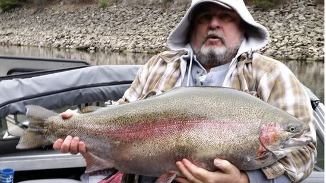 Fisherman Releases 28lb Trout Instead Of Claiming State Record
