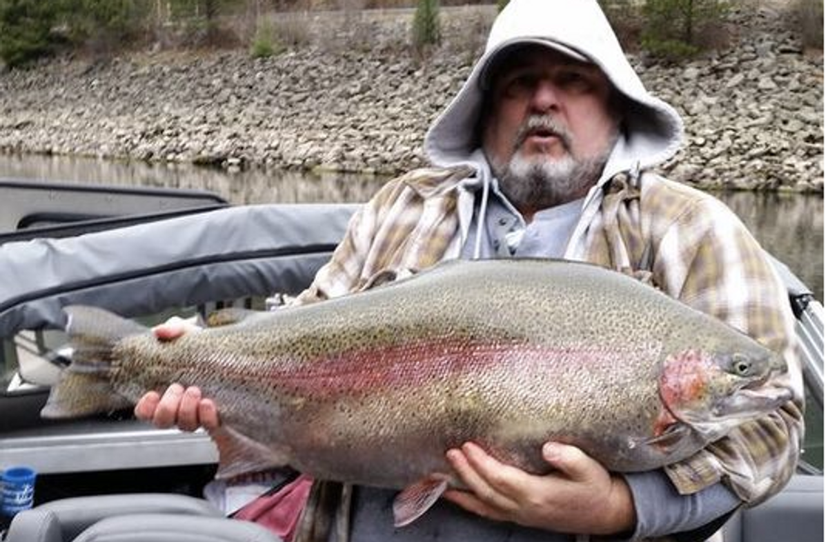 Fisherman Releases 28lb Trout Instead Of Claiming State Record