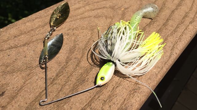 3 Top Search Baits To Catch More Fish This Fall