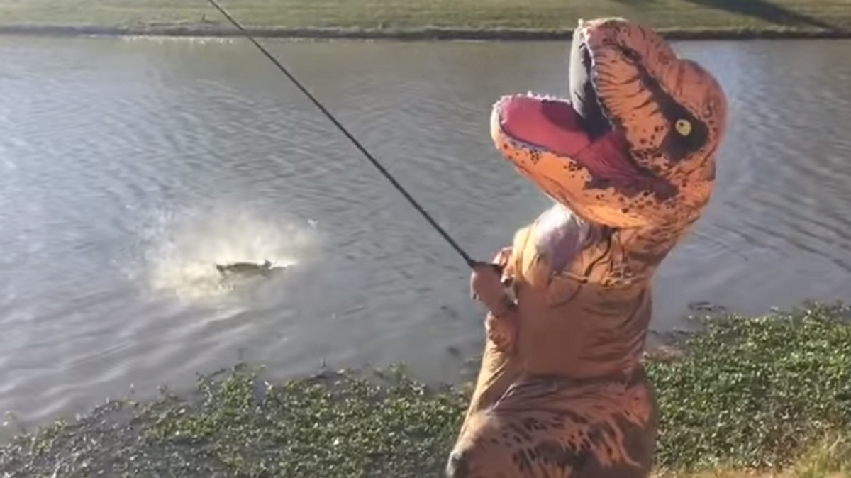 Watch This T-Rex Catch A Monster Catfish..Really